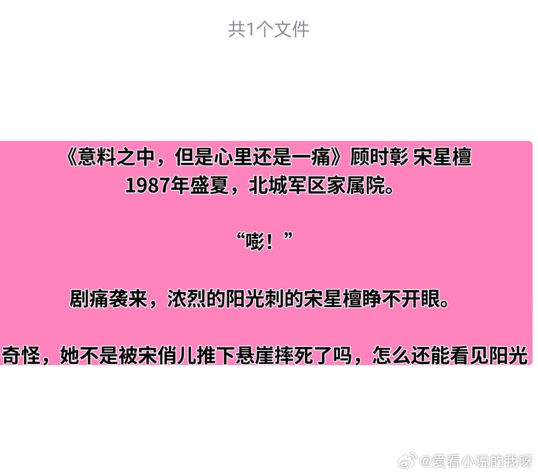 程然沈季珞最新更新深度解析与预测报告