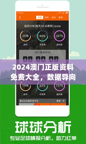 2024新澳天天免费资料,实践解答解释定义_L版37.201