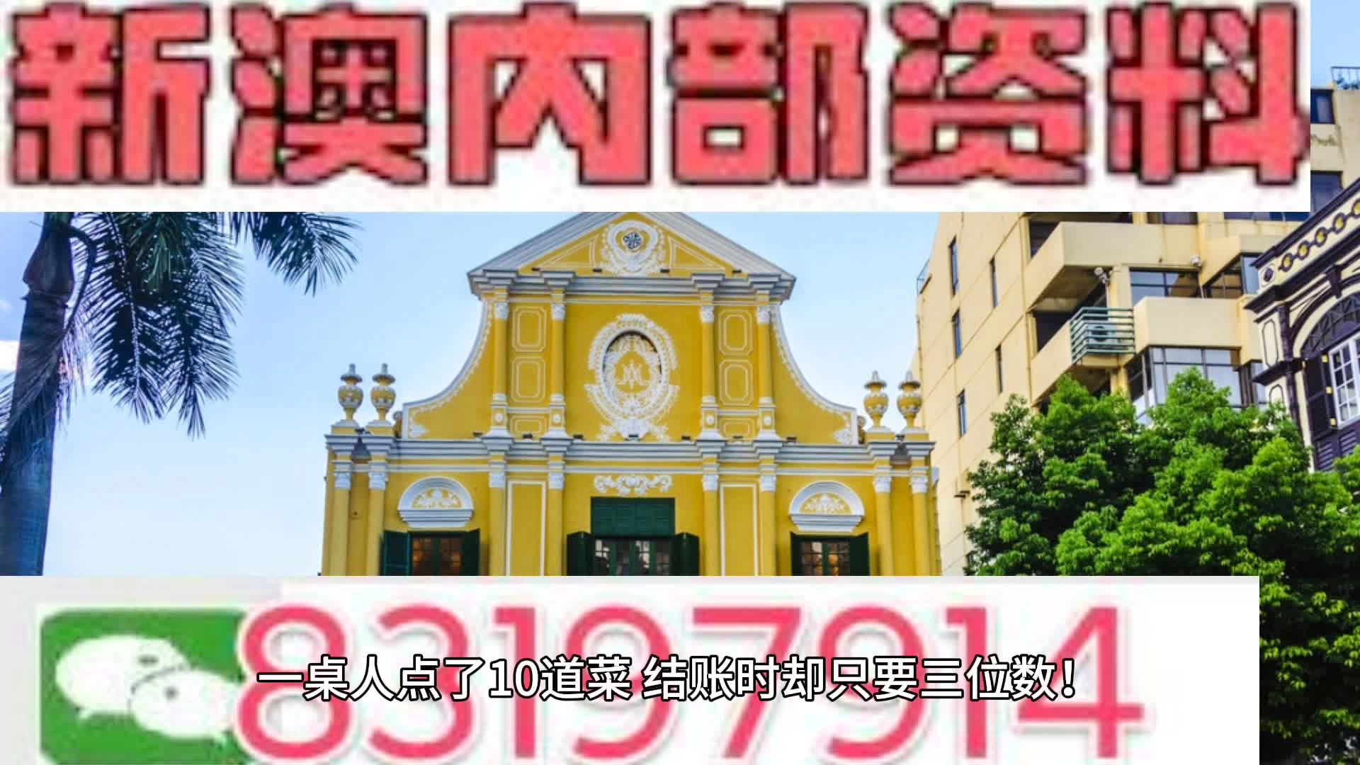 新澳内部一码精准公开,动态词语解释落实_安卓款87.205