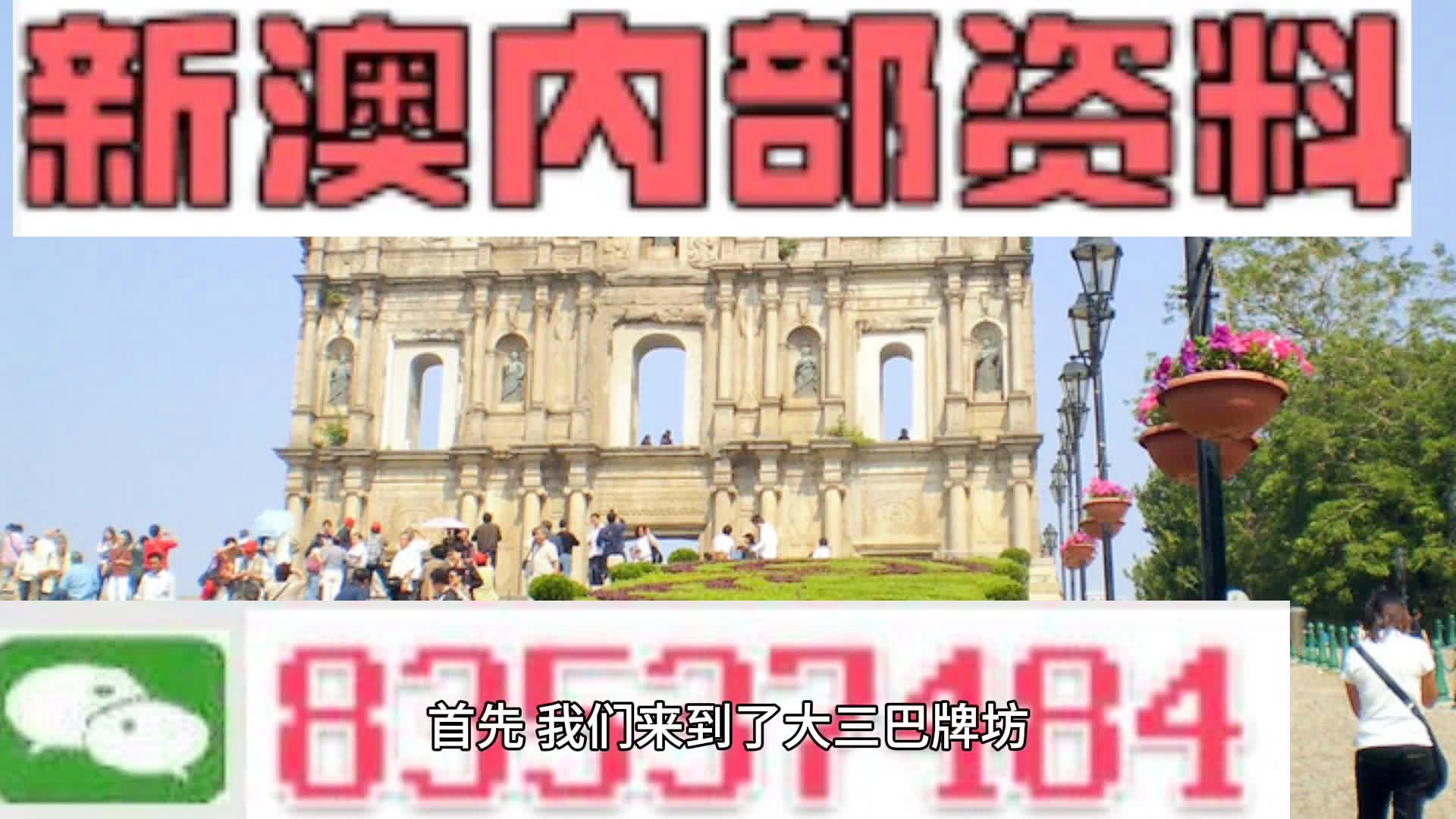 2024新澳正版免费资料,实地数据解释定义_R版62.19