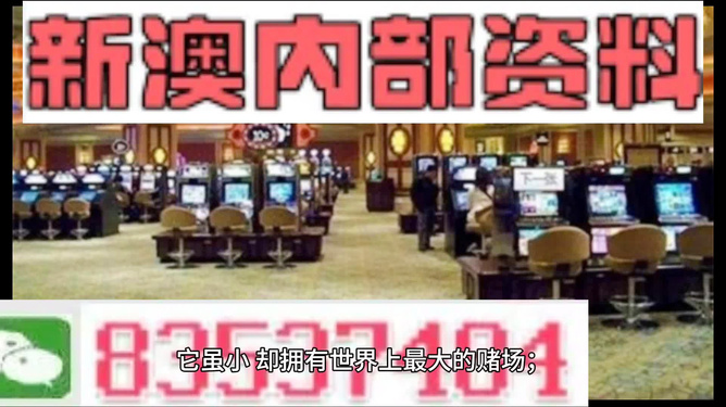 2024新澳正版免费资料,准确资料解释落实_tShop40.331