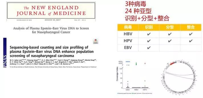 澳门一肖100准免费,实地数据验证实施_Advanced60.941